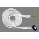 Equistar Flat Lunge Lead