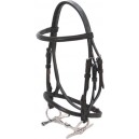 Equistar Small Pony Caveson Bridle