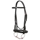 Equistar Caveson Bridle
